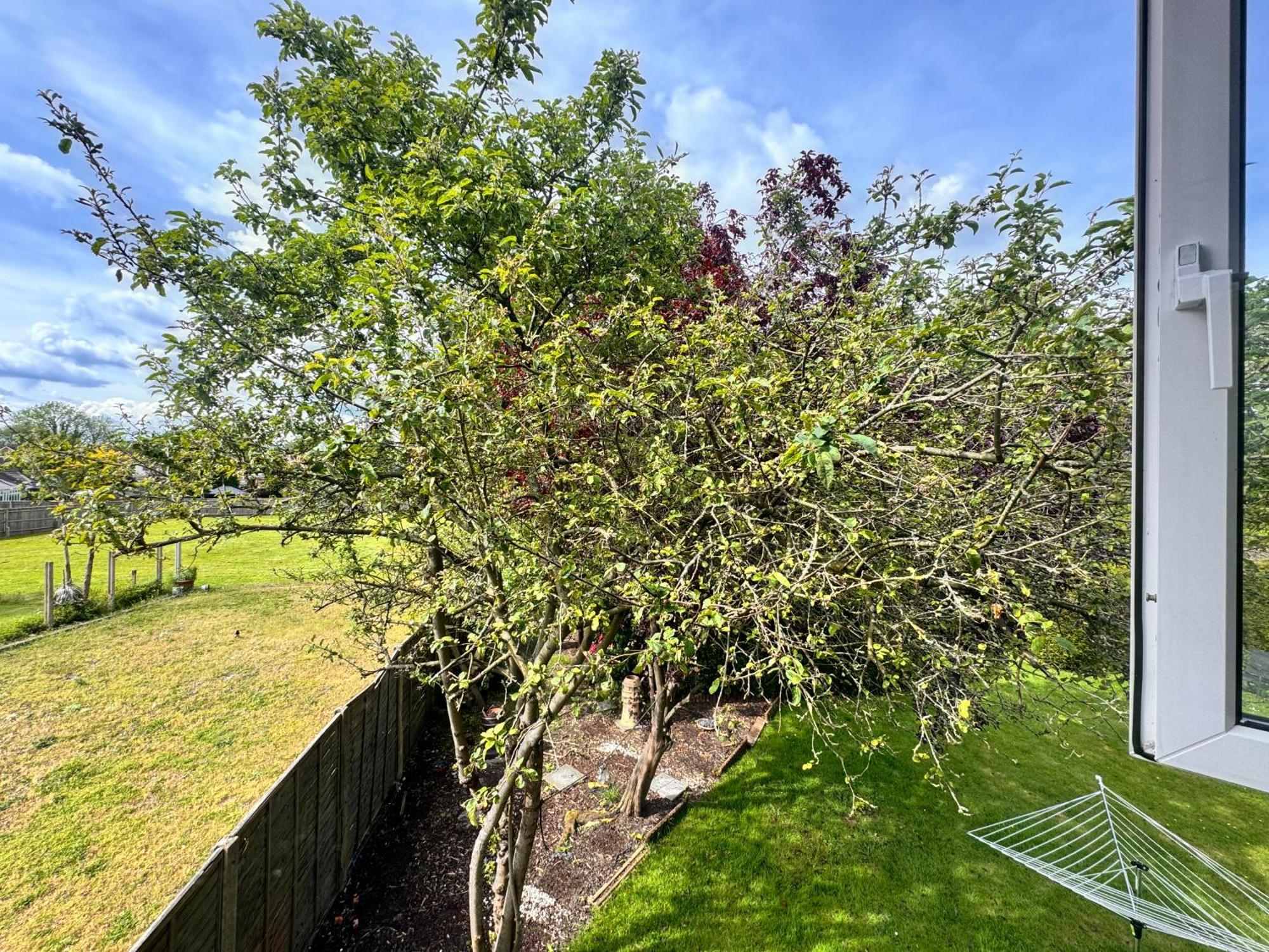 High Trees Guest House Gatwick Horley Exterior photo